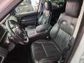 Land Rover Range Rover Sport II 2014 3.0 tdV6 HSE Dynamic auto my16 E6 White - thumbnail 8