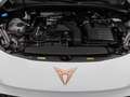 CUPRA Terramar 1.5 eTSI DSG/ LED, ACC, 360°Kamera, AHK Blanc - thumbnail 17