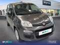 Fiat Panda 1.2 Easy Gris - thumbnail 3