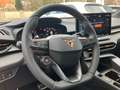 CUPRA Terramar 1.5 e-TSI 150 PS DSG Grau - thumbnail 19