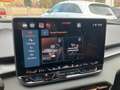 CUPRA Terramar 1.5 e-TSI 150 PS DSG Grau - thumbnail 14