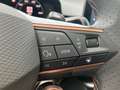 CUPRA Terramar 1.5 e-TSI 150 PS DSG Grau - thumbnail 17