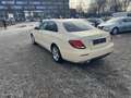 Mercedes-Benz E 200 E 200dLimousine KAMERA!!SPORTSITZE!!SITZHEIZUNG!! Beige - thumbnail 8