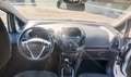 Ford B-Max 1.4 Titanium Gpl 86cv NEOPANTENTATI - thumbnail 8