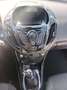 Ford B-Max 1.4 Titanium Gpl 86cv NEOPANTENTATI - thumbnail 10
