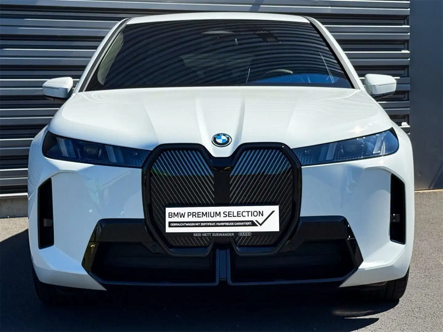 BMW iX xDrive45 Wit - 2