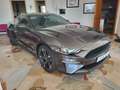 Ford Mustang Fastback 2.3 ecoboost FIFTY FIVE YEARS Grigio - thumbnail 11