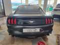 Ford Mustang Fastback 2.3 ecoboost FIFTY FIVE YEARS Grigio - thumbnail 14
