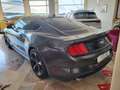 Ford Mustang Fastback 2.3 ecoboost FIFTY FIVE YEARS Grigio - thumbnail 10