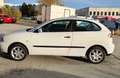 SEAT Ibiza Ibiza 1.4 TDi Stella Stella Blanco - thumbnail 1