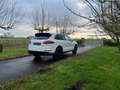 Porsche Cayenne S Hybrid/ eerste eigenaar/full Option!VASTE PRIJS Blanc - thumbnail 3