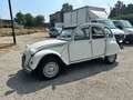 Citroen 2CV Blanc - thumbnail 1
