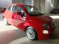 Fiat 500 1.0 hybrid Connect 70cv Rosso - thumbnail 1