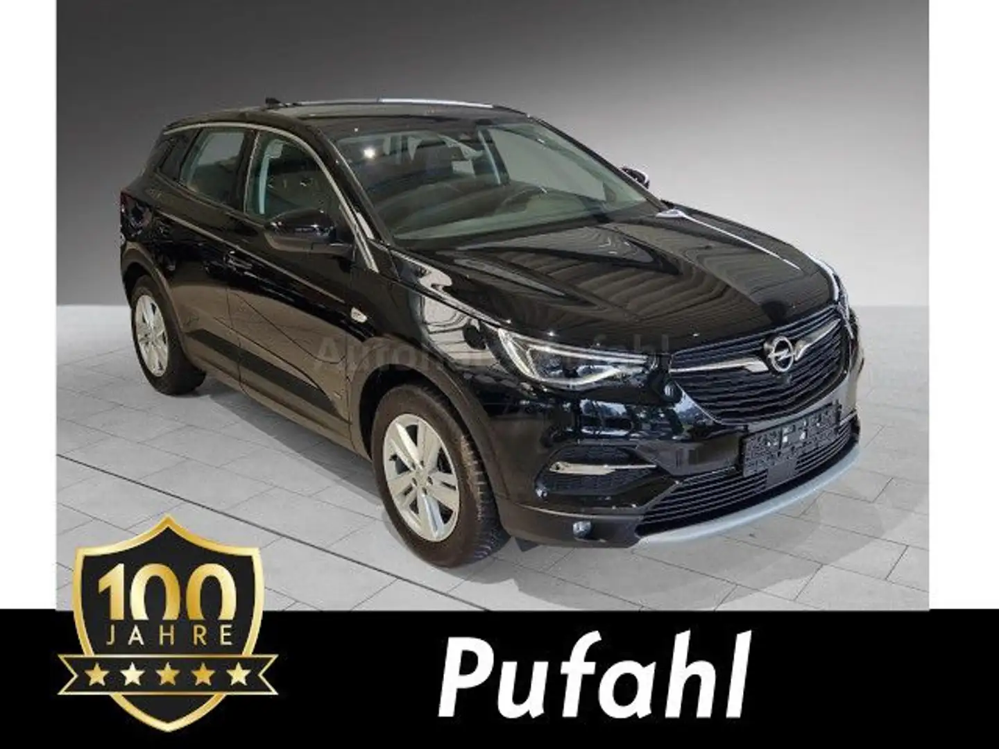 Opel Grandland X Grandland alle Extras Leder AFL Licht, Kamera Schwarz - 1