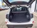 Subaru Forester Subaru Forester Premium Weiß - thumbnail 7