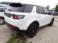 Land Rover Discovery Sport SE AWD Kamera Guter Zustand Weiß - thumbnail 5
