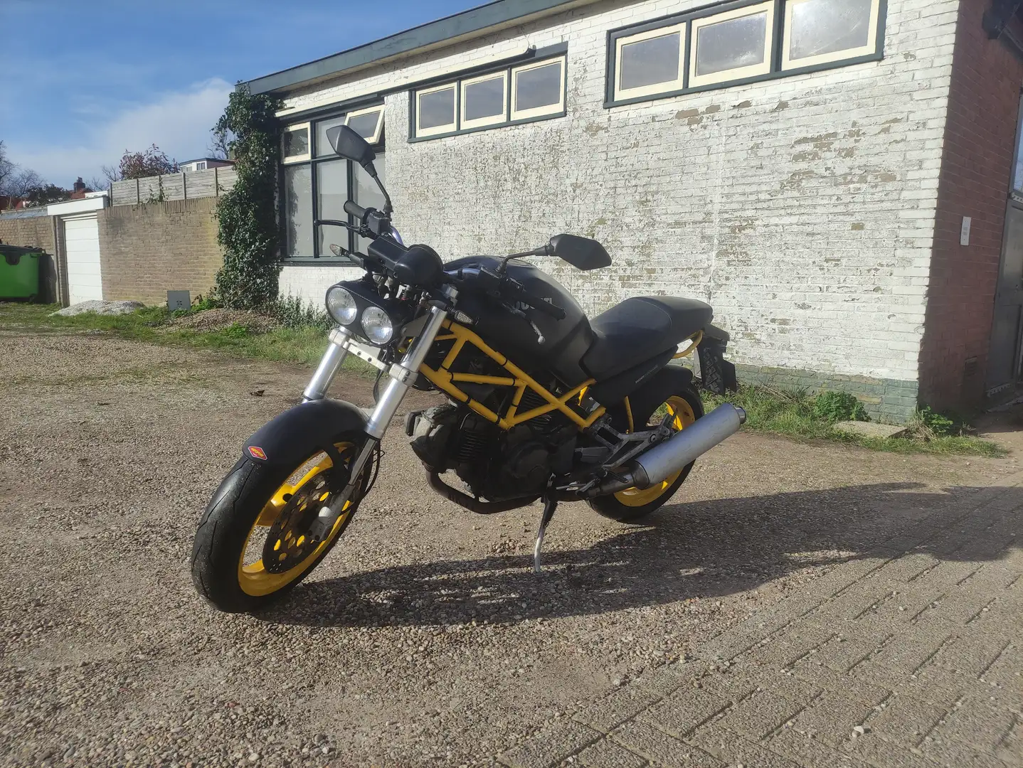 Ducati Monster 600 Dark žuta - 1