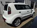 Kia Soul 1.6 CVVT Active Pro Weiß - thumbnail 4
