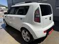 Kia Soul 1.6 CVVT Active Pro Weiß - thumbnail 3