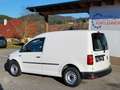 Volkswagen Caddy Kastenwagen TDI- NETTO €12.750,- Weiß - thumbnail 3
