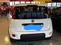 Fiat Panda Panda III 2021 1.0 firefly hybrid City Life s Bianco - thumbnail 3