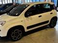 Fiat Panda Panda III 2021 1.0 firefly hybrid City Life s Bianco - thumbnail 2