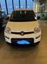 Fiat Panda Panda III 2021 1.0 firefly hybrid City Life s Bianco - thumbnail 1