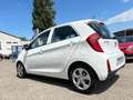 Kia Picanto 1.0 66CH ORIGINS 5P Blanc - thumbnail 14