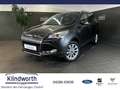 Ford Kuga 2.0 TDCi 4x4 Aut. Titanium +AHK+Xenon+RFK Grijs - thumbnail 1