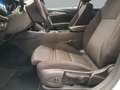 Opel Insignia ST 1.6CDTI S&S Business ecoTEC 110 Blanco - thumbnail 30