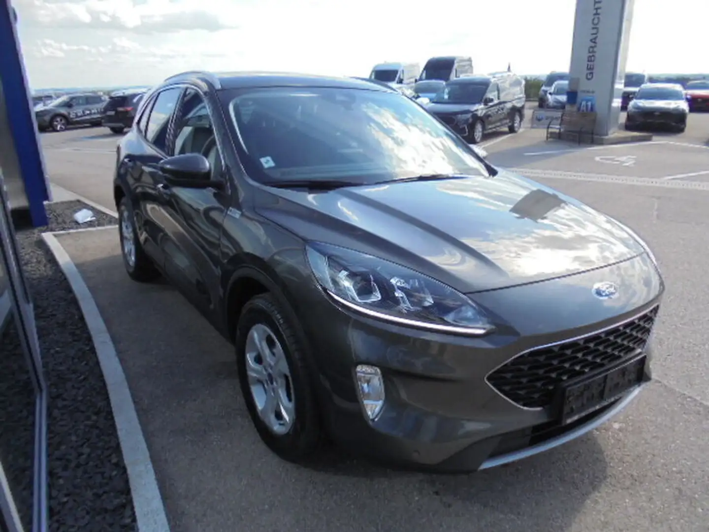 Ford Kuga Cool&Connect 1,5L 120PS Benzin Grau - 2