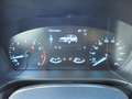Ford Kuga Cool&Connect 1,5L 120PS Benzin Grau - thumbnail 11