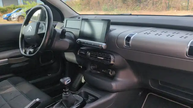Citroen C4 Cactus view 10