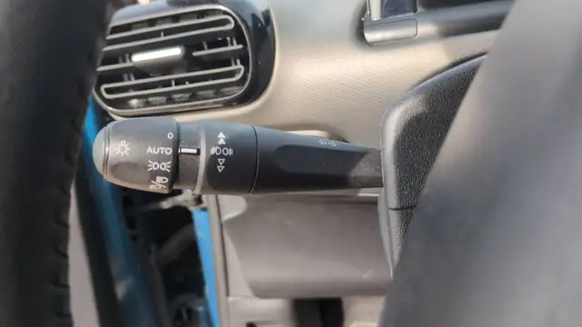 Citroen C4 Cactus view 13