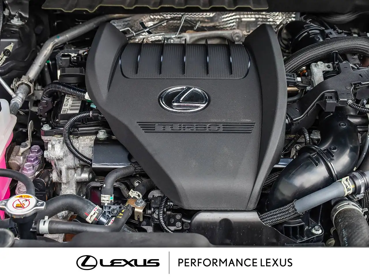 Lexus NX снимка Lexus NX