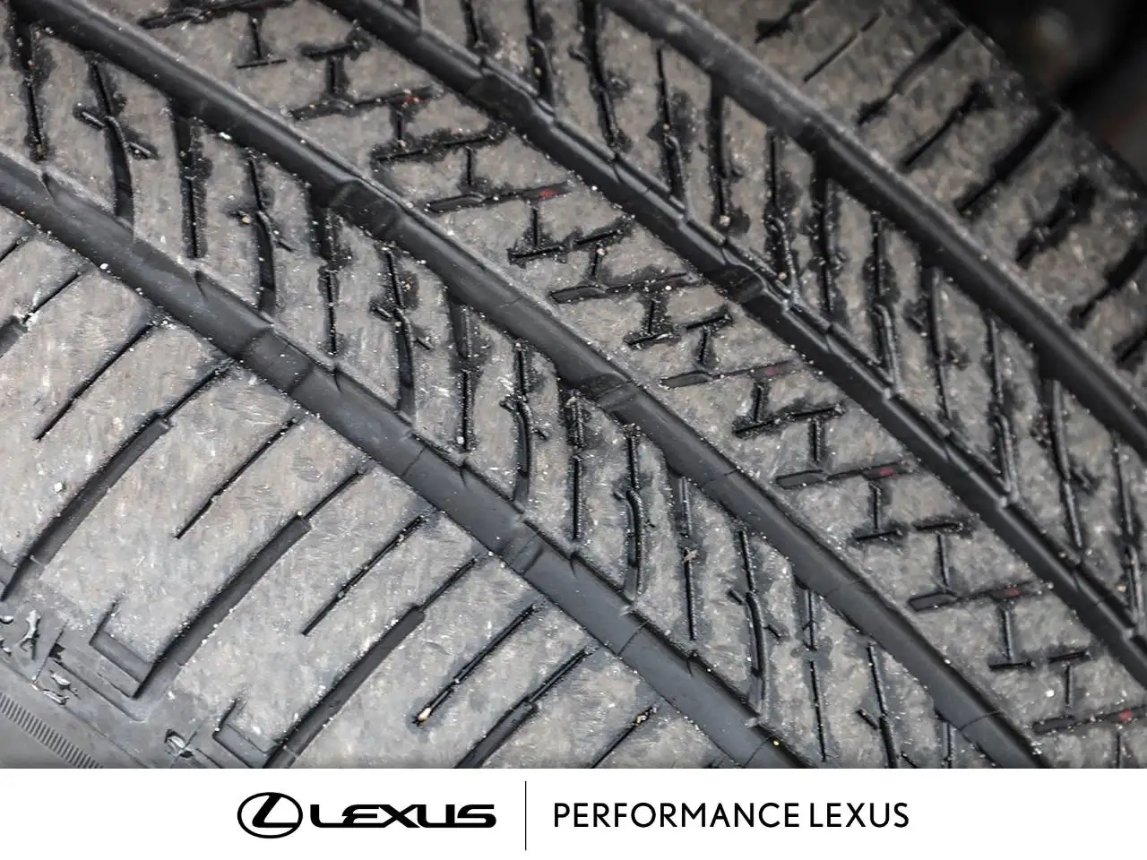 Lexus NX снимка Lexus NX