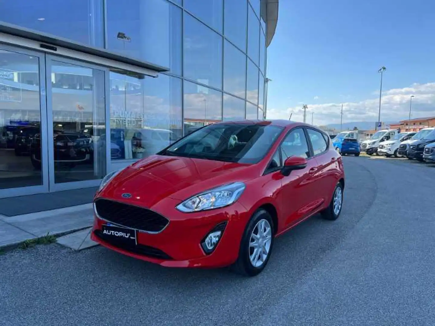 Ford Fiesta 1.1 75 CV 5 porte Business Grigio - 1