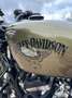 Harley-Davidson Iron 883 - thumbnail 9