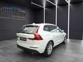 Volvo XC60 D5 Momentum AWD+NAVI+PANO+TEMPOMAT+PDC Weiß - thumbnail 7