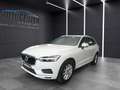 Volvo XC60 D5 Momentum AWD+NAVI+PANO+TEMPOMAT+PDC Weiß - thumbnail 1
