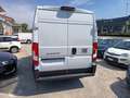 Fiat Ducato 35 2.2 mtj 140 cv L2H2 FURGONE Bianco - thumbnail 4