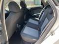 SEAT Ibiza 5p 1.2  70cv NAVIGATORE-NEOPATENTATI Bianco - thumbnail 10