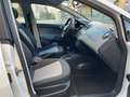 SEAT Ibiza 5p 1.2  70cv NAVIGATORE-NEOPATENTATI Bianco - thumbnail 8
