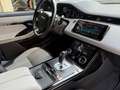 Land Rover Range Rover Evoque Range Rover Evoque 2.0D I4-L.Flw 150 CV AWD Auto S Wit - thumbnail 17