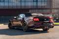 Ford Mustang 2.3 Cabrio EcoBoost/Premium/VirtualCkp Rouge - thumbnail 8