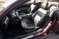Ford Mustang 2.3 Cabrio EcoBoost/Premium/VirtualCkp Rouge - thumbnail 16