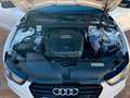 Audi A5 Sportback 2.0TDI Multitronic 177 Blanco - thumbnail 15