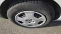 Fiat Fiorino 1300 MULTIJET 95 CV AUTO PARI AL NUOVO IN TUTTO Wit - thumbnail 13