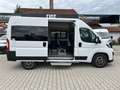 Fiat Ducato KOMBI PANORAMA MODULAR 35 L2H2 180AT Alb - thumbnail 3