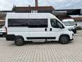 Fiat Ducato KOMBI PANORAMA MODULAR 35 L2H2 180AT Alb - thumbnail 2